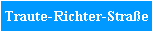 Traute-Richter-Straße